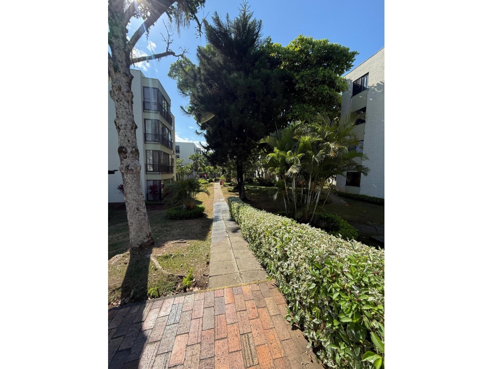 VENDO APARTAMENTO EN MULTICENTRO — foto 3