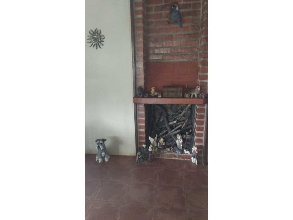 VENDO FINCA EN BORRERO AYERBE — foto 4