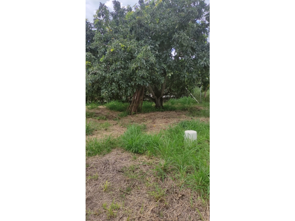 VENDO LOTE DE TERRENO EN ROZO — foto 6