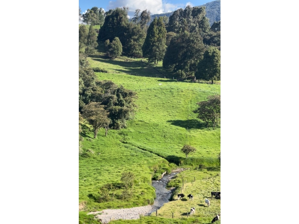 Lote en venta en vía San Félix - San Pedro con amplias zonas verdes - 4