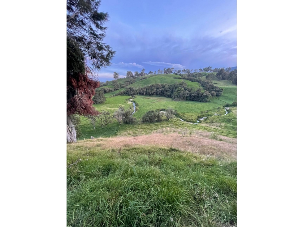 Lote en venta en vía San Félix - San Pedro con amplias zonas verdes - 5