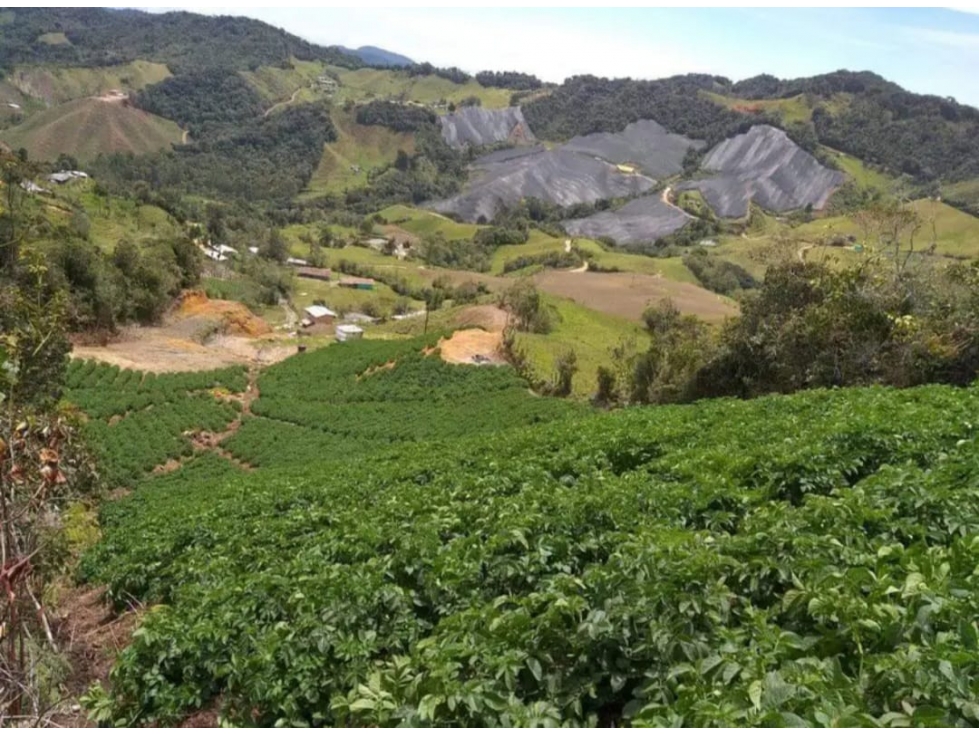 Espectacular y amplio lote en venta en El Carmen de Viboral