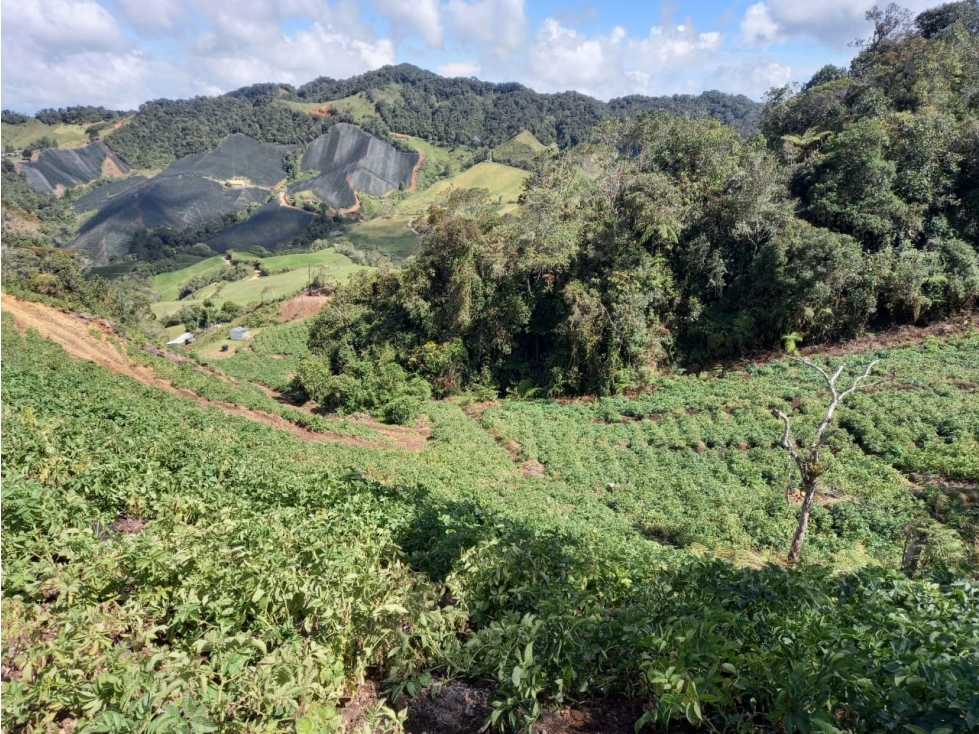 Espectacular y amplio lote en venta en El Carmen de Viboral — foto 3