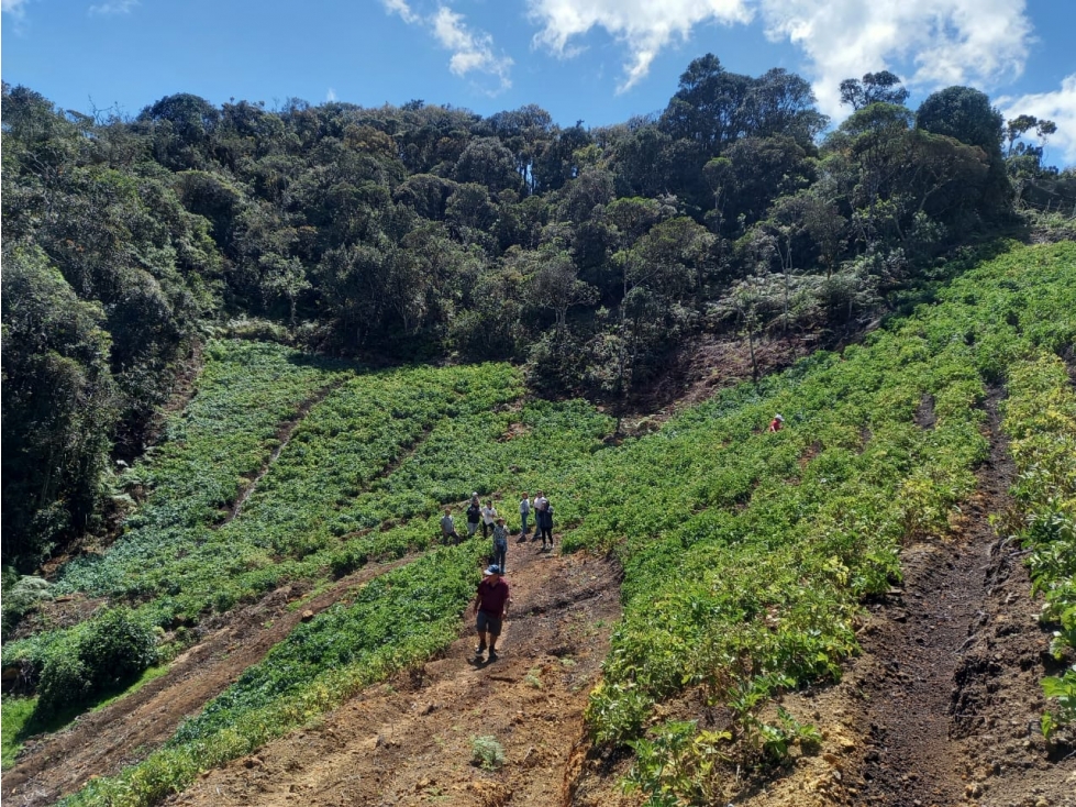 Espectacular y amplio lote en venta en El Carmen de Viboral — foto 4