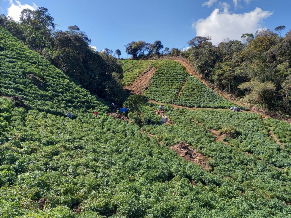Espectacular y amplio lote en venta en El Carmen de Viboral — foto 2