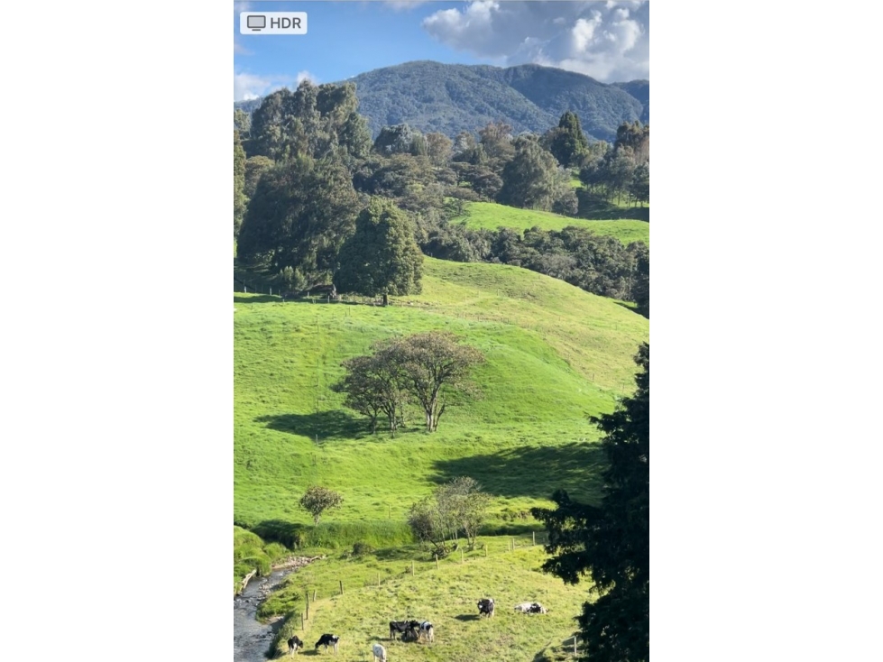 Lote en venta en vía San Félix - San Pedro con amplias zonas verdes - 3