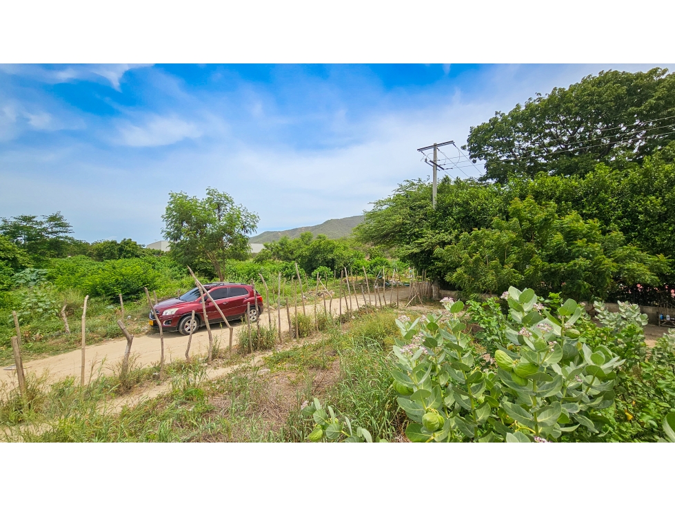 LOTE INDUSTRIAL BURECHE — foto 2
