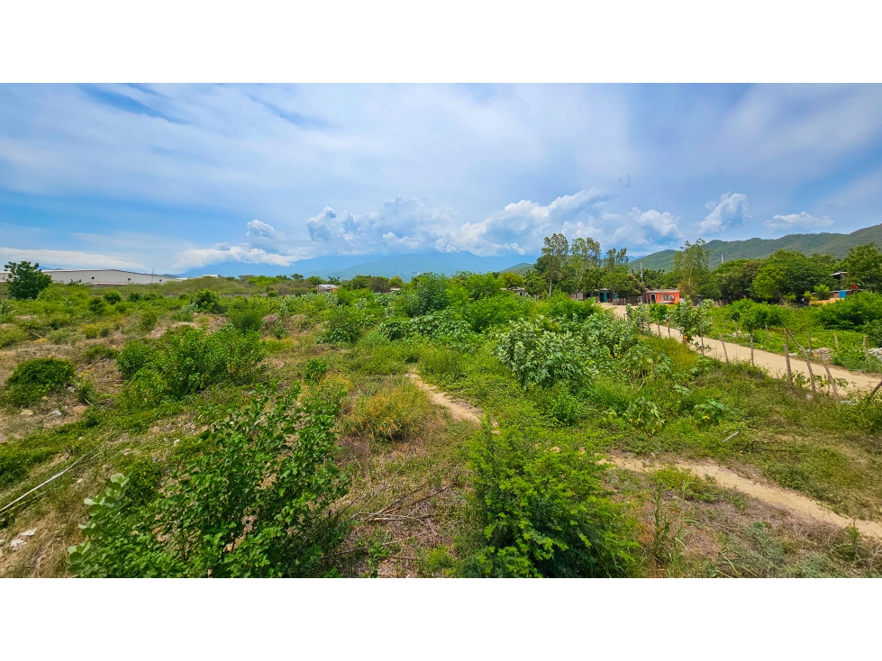 LOTE INDUSTRIAL BURECHE — foto 3