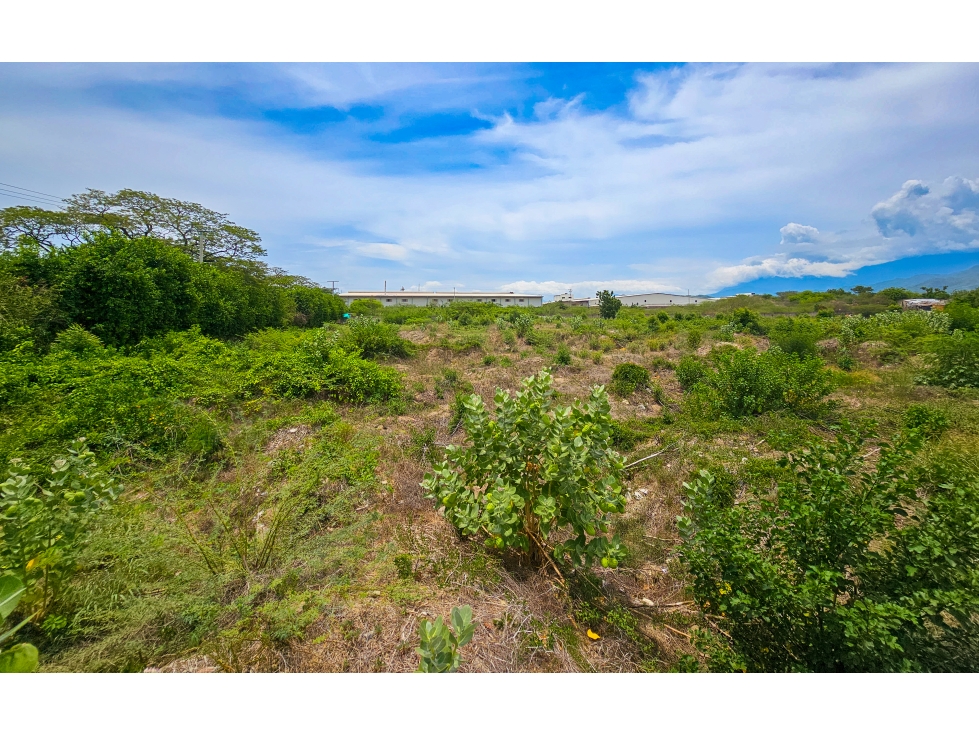 LOTE INDUSTRIAL BURECHE — foto 4