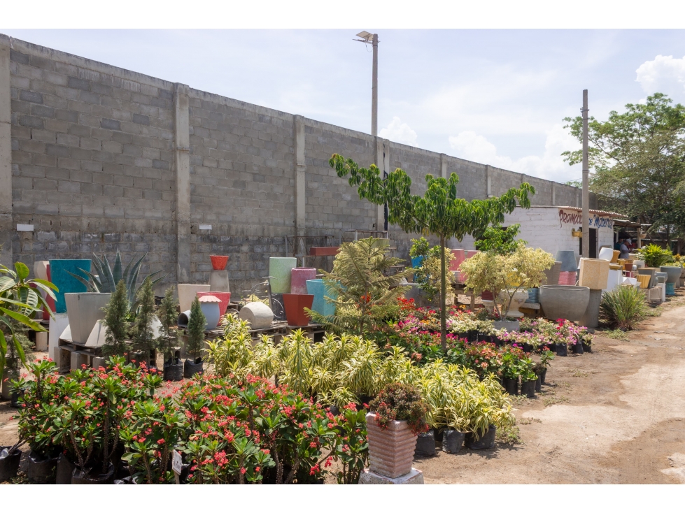 LOTE EN VENTA TRONCAL DEL CARIBE — foto 5