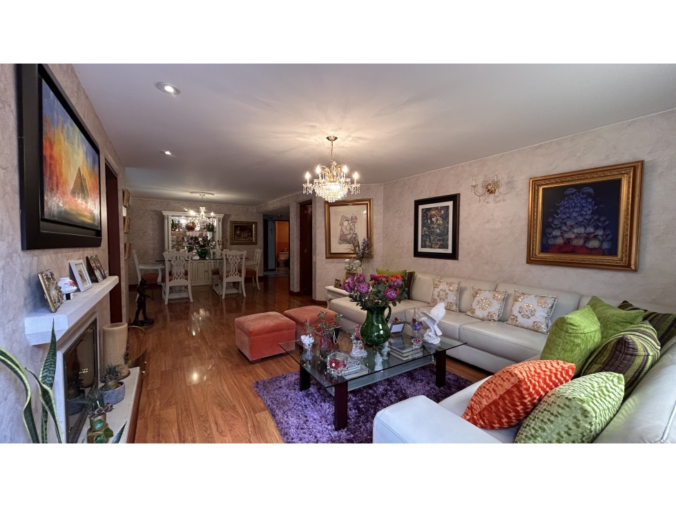 VENTA CLASICO Y AMPLIO APARTAMENTO CON TERRAZA EN CHICO NAVARRA — foto 3