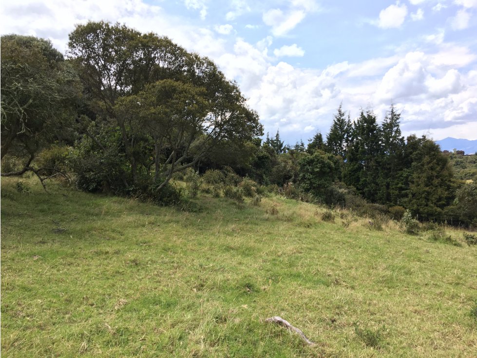 VENTA DE LOTE PARA CONSTRUIR SOFROPOLIS - 5