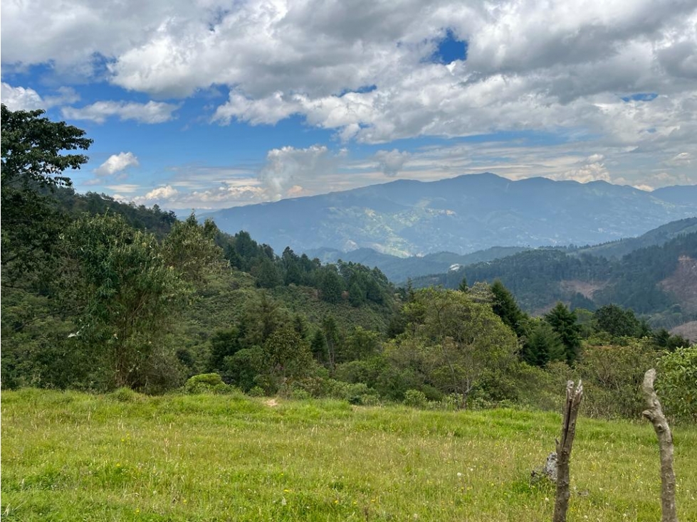 Terreno en venta en La Miel, Caldas Antioquia - 2