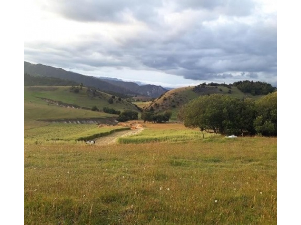 VENTA LOTE EN SUESCA - 2