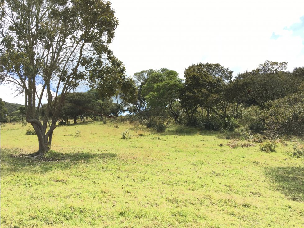 VENTA DE LOTE PARA CONSTRUIR SOFROPOLIS - 3