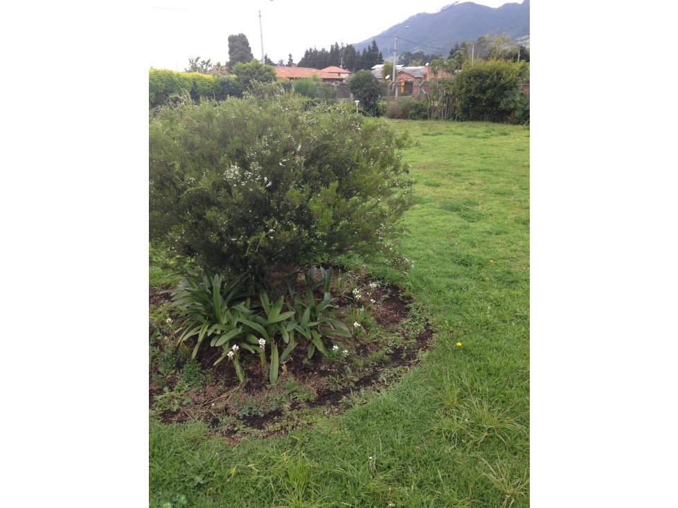VENTA EXCELENTE LOTE EN LA CALERA - 4