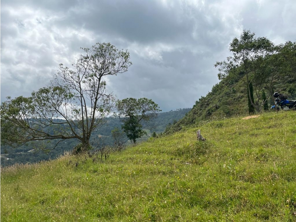Terreno en venta en La Miel, Caldas Antioquia - 3
