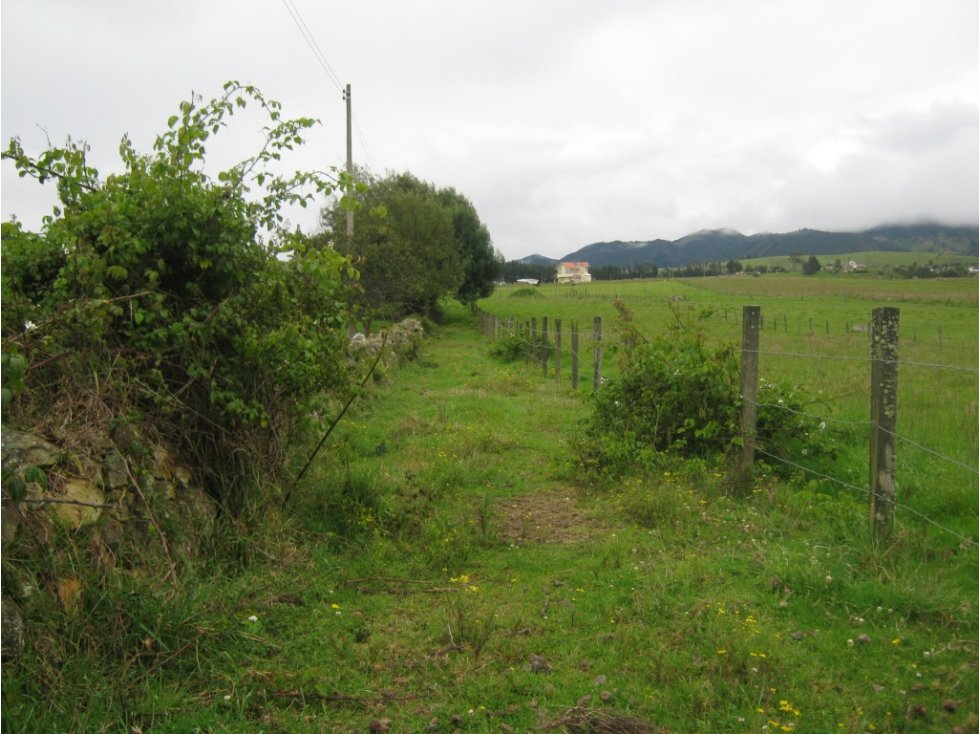 VENTA EXCELENTE LOTE EN LA CALERA - 5