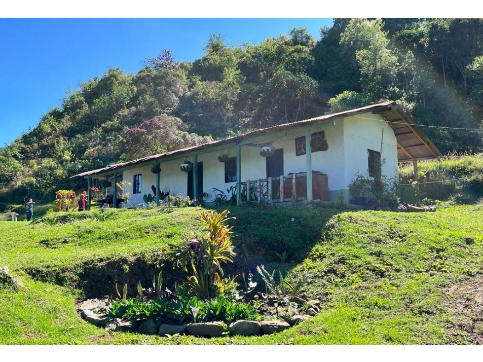 Terreno en venta en La Miel, Caldas Antioquia - 6
