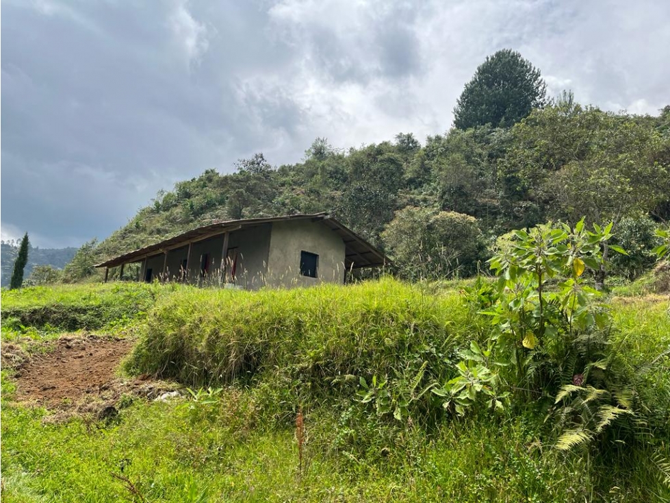 Terreno en venta en La Miel, Caldas Antioquia - 5