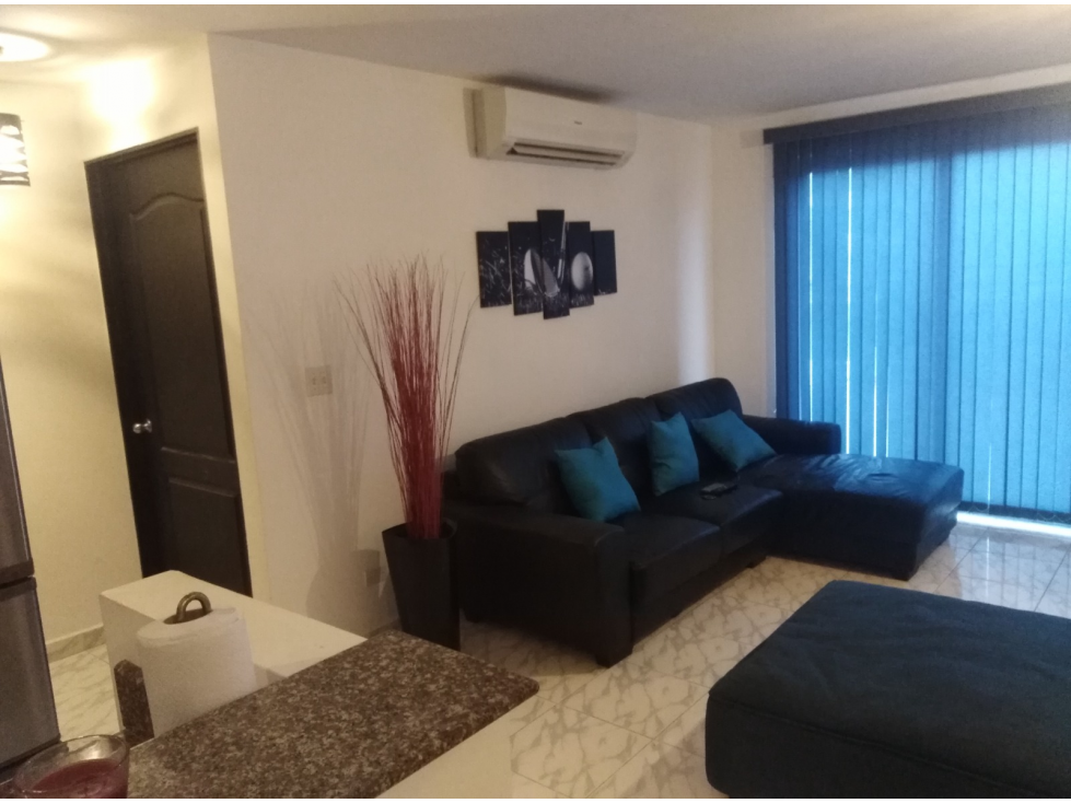 Apartamento en Venta PH Parque Lindo — foto 3