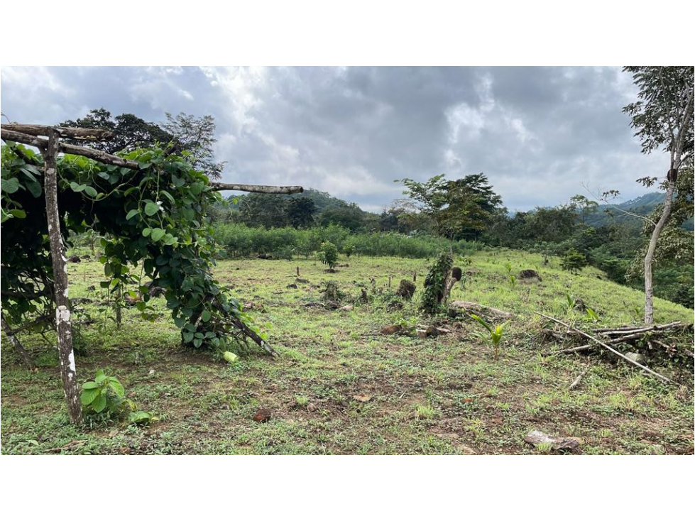 SE VENDE FINCA EN UTIVE, PACORA - 4