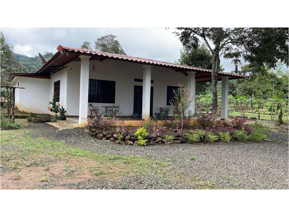SE VENDE FINCA EN UTIVE, PACORA - 2