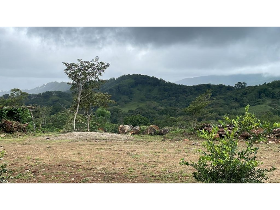 SE VENDE FINCA EN UTIVE, PACORA - 5