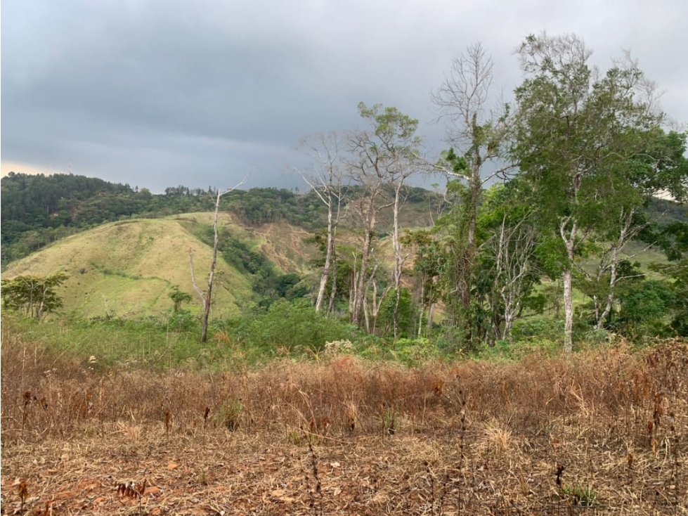 VENDO TERRENO DE 217 HECTAREA Cero azul - 2