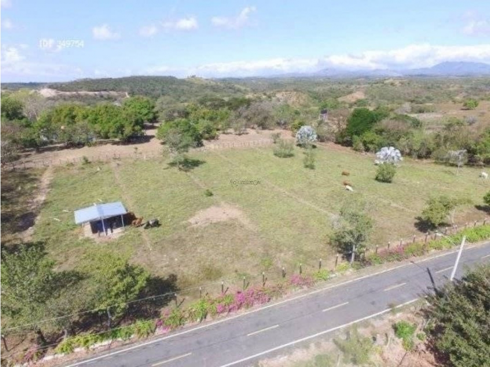 SE VENDE O ALQUILA FINCA EN LAS UVAS- SAN CARLOS — foto 3
