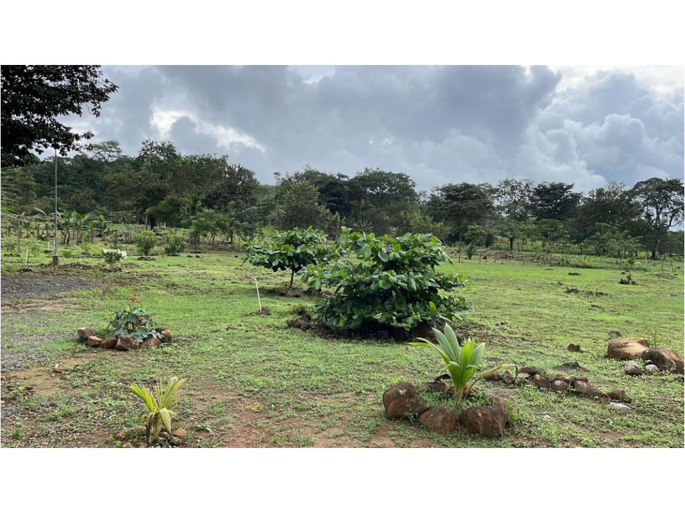 SE VENDE FINCA EN UTIVE, PACORA - 6