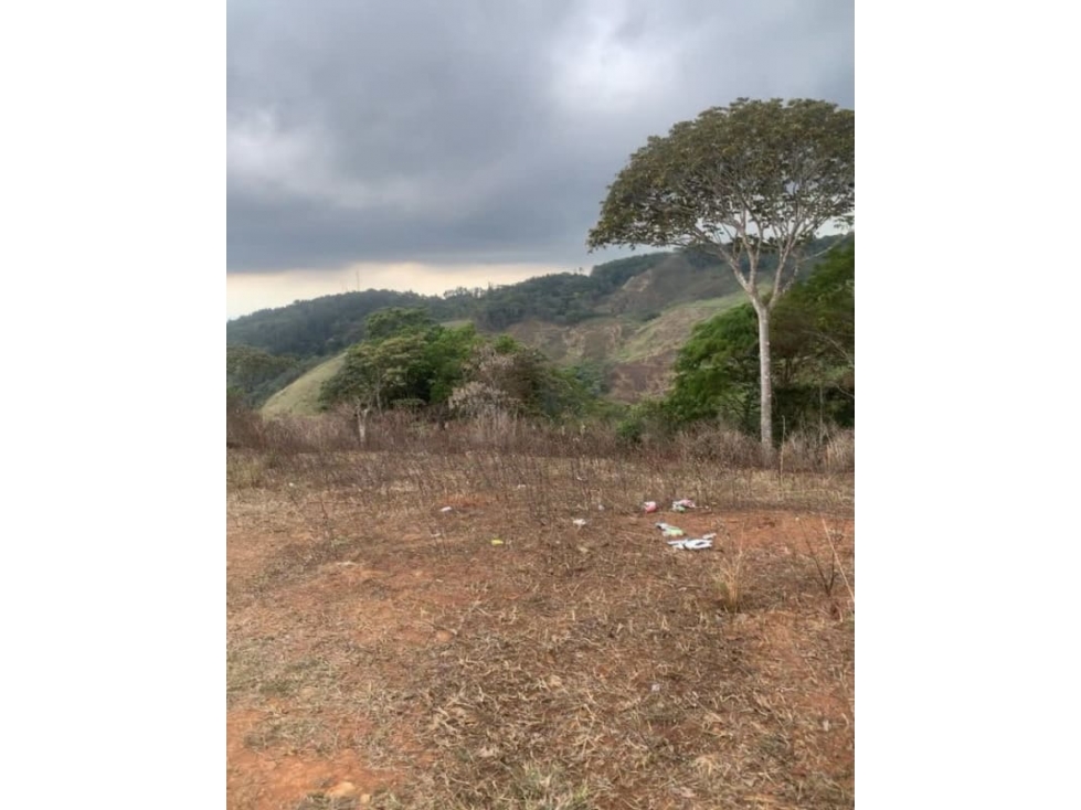VENDO TERRENO DE 217 HECTAREA Cero azul - 3