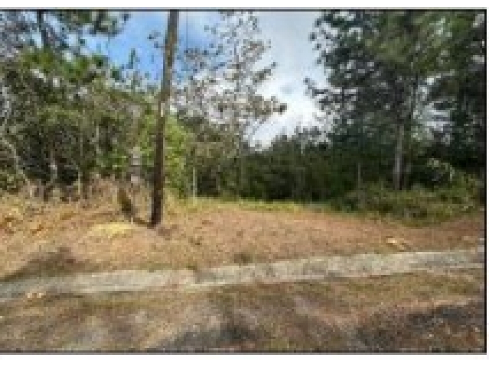 VENDO TERRENO Urb. Altos de Cerro Azul en OFERTA EXCLUSIVA - 2