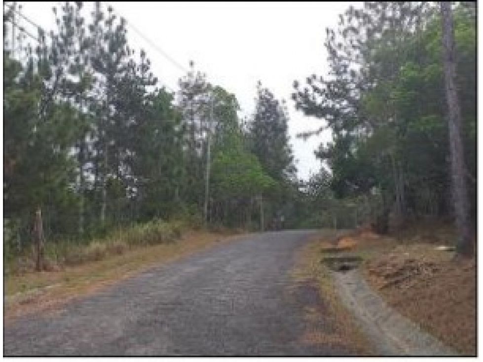VENDO TERRENO Urb. Altos de Cerro Azul en OFERTA EXCLUSIVA - 3