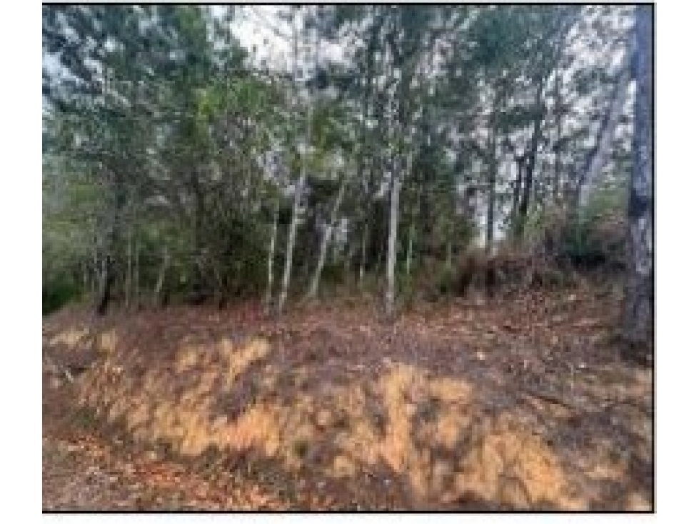 VENDO TERRENO Urb. Altos de Cerro Azul en OFERTA EXCLUSIVA - 4