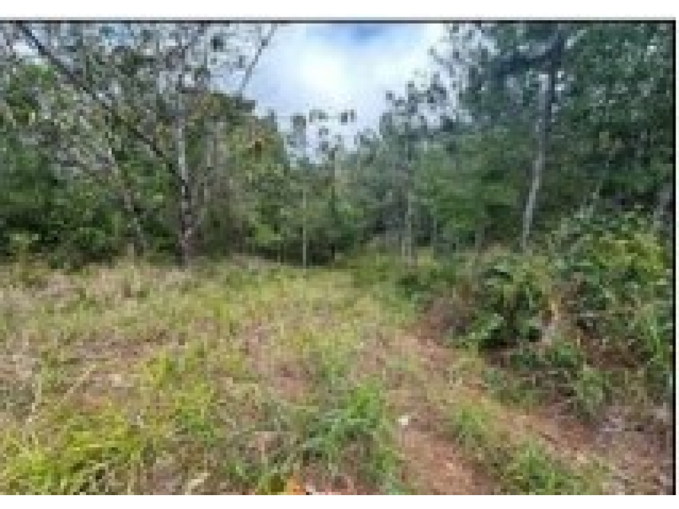 VENDO TERRENO Urb. Altos de Cerro Azul en OFERTA EXCLUSIVA - 5