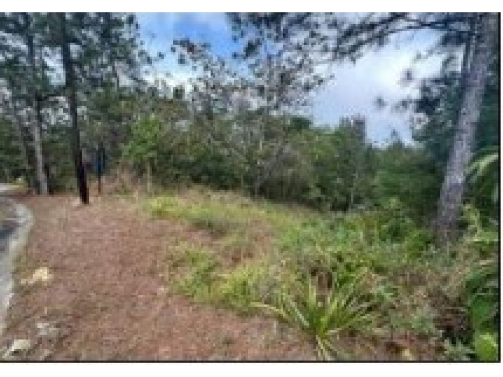 VENDO TERRENO Urb. Altos de Cerro Azul en OFERTA EXCLUSIVA - 6