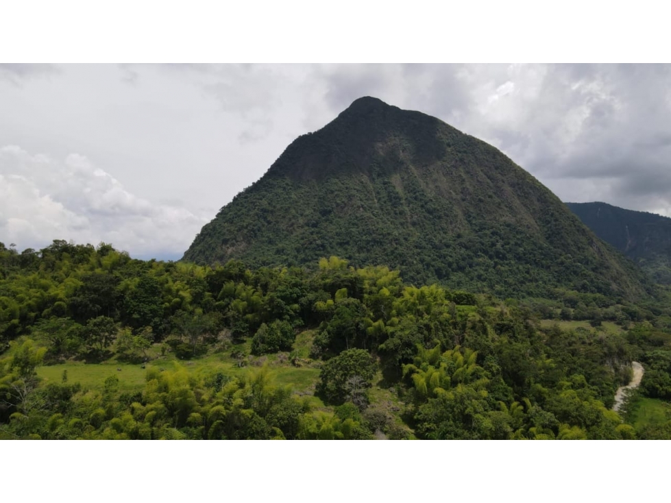 VENTA LOTE CAMPESTRE PARCELACIÓN  VENECIA ANTIOQUIA - 1
