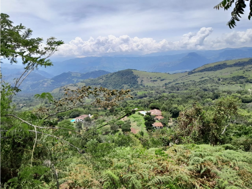 VENTA LOTE CAMPESTRE PARCELACIÓN VENECIA ANTIOQUIA - 2