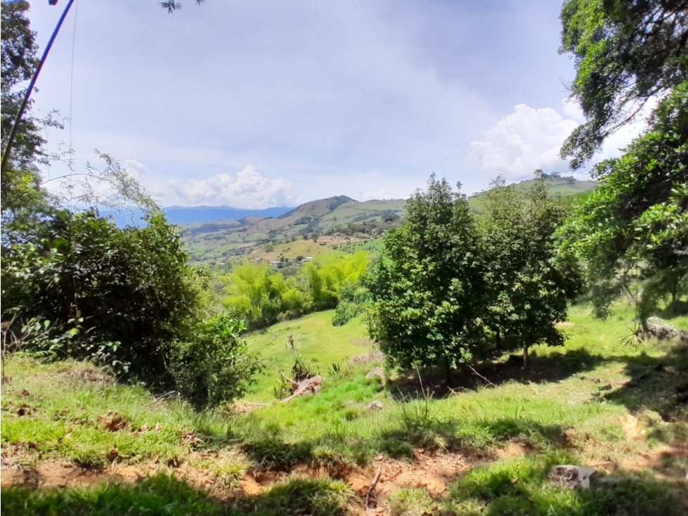 VENTA LOTE CAMPESTRE PARCELACIÓN VENECIA ANTIOQUIA - 3