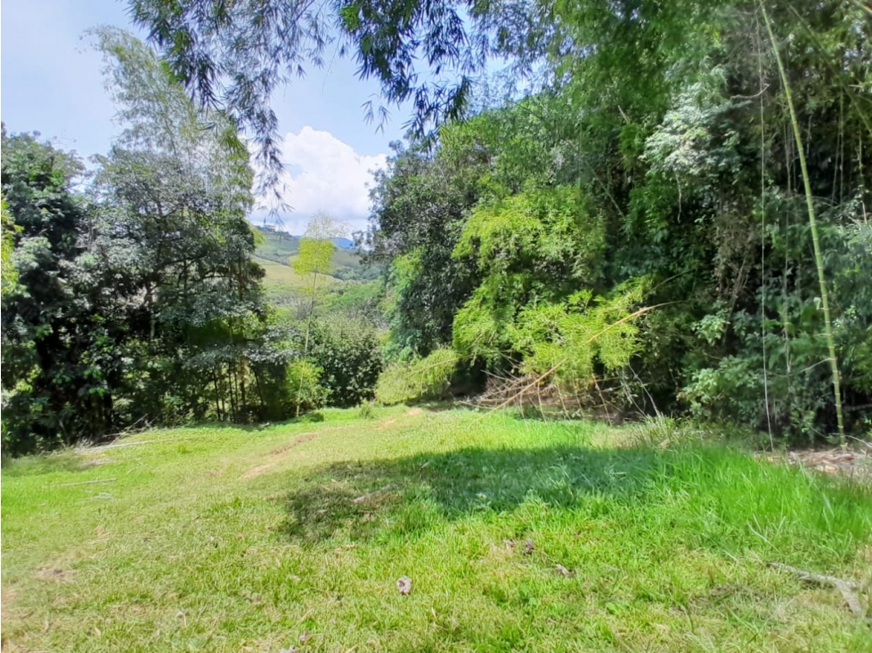 VENTA LOTE CAMPESTRE PARCELACIÓN VENECIA ANTIOQUIA - 4
