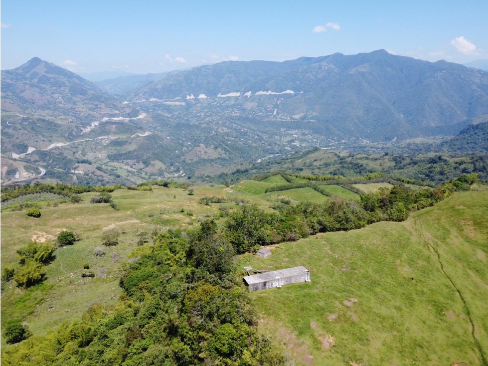 VENTA LOTE CAMPESTRE PARCELACIÓN VENECIA ANTIOQUIA - 5
