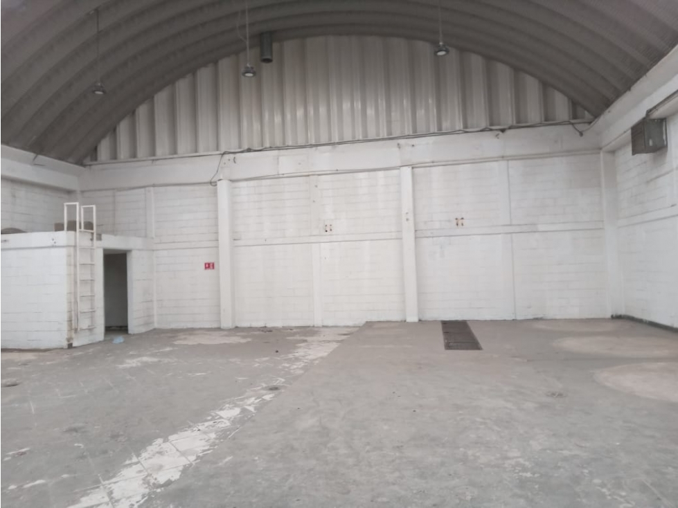 RENTA DE BODEGA O LOCAL DE 720 M2 EN SAN PEDRO DE LOS PINOS. - 6