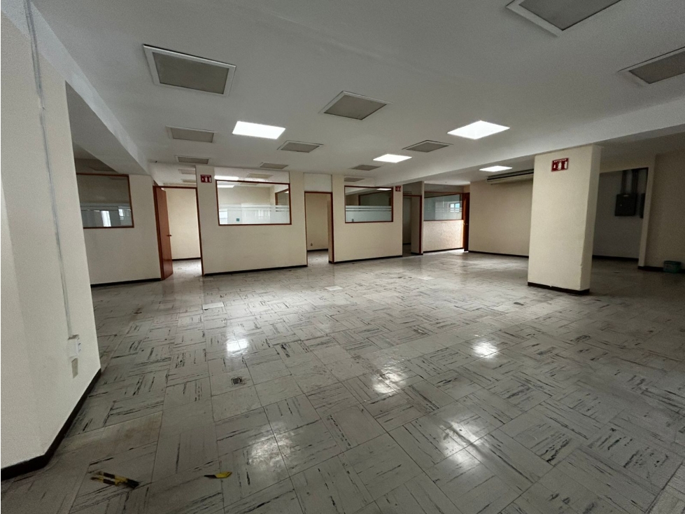 Oficina en Renta 400 m² sobre Avenida Principal - 2