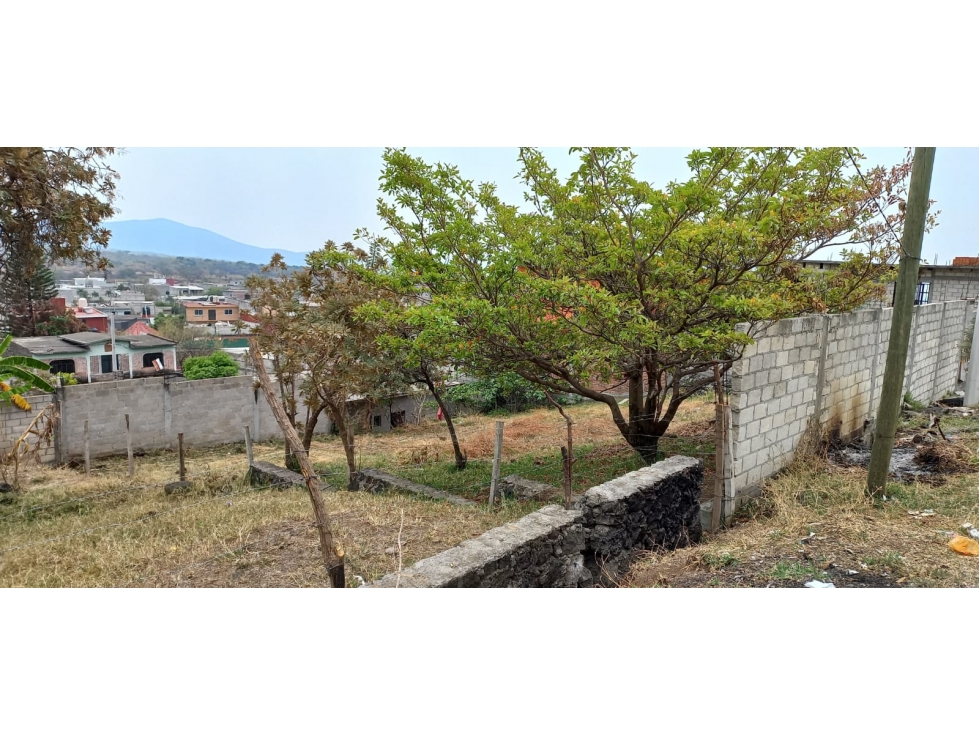 En Venta 3 Terrenos de 200mts cada uno en Cuernavaca - 2