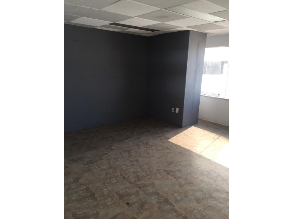 SE RENTA OFICINA DE 125 MTS. SOBRE AV. BAJA CALIFORNIA - 6