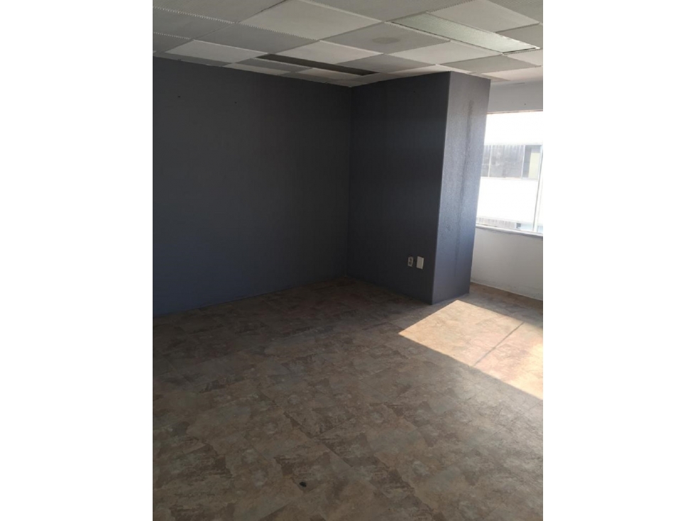SE RENTA OFICINA DE 125 MTS. SOBRE AV. BAJA CALIFORNIA - 5