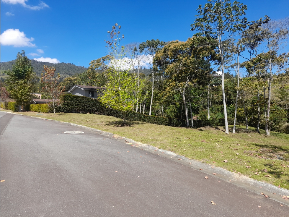 LOTE EN VENTA, LA CEJA, PARCELACIÓN MONTECARLO, vía Rionegro - Ceja - 3