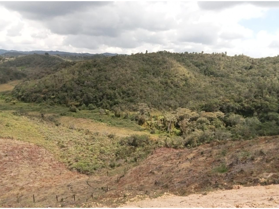 Lote Vereda San Nicolas- San vicente