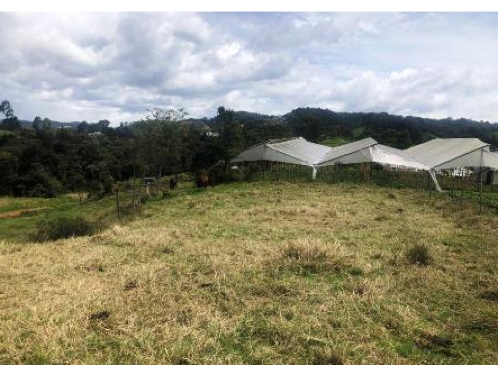 Lote en Proindiviso linda vista y acceso Pantanillo-Santa Elena — foto 3